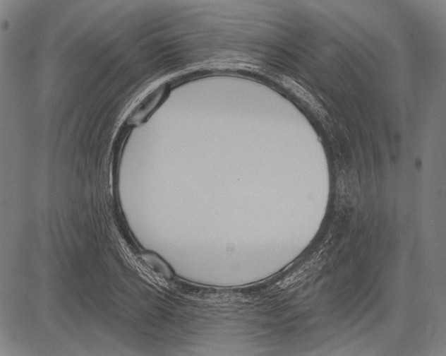 X0000081600934200702121546