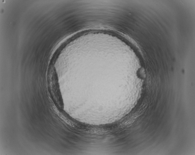 X0000081600935200702121546