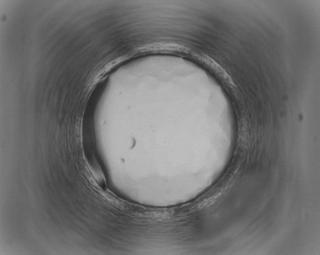 X0000081600937200702121546