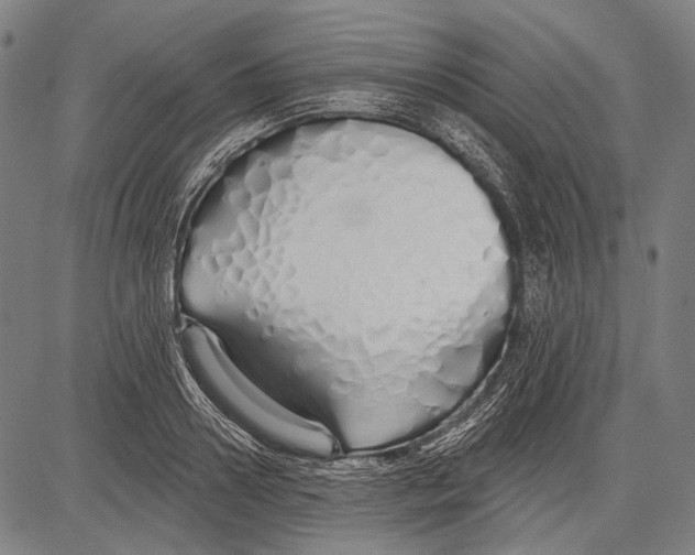 X0000081600938200702121546