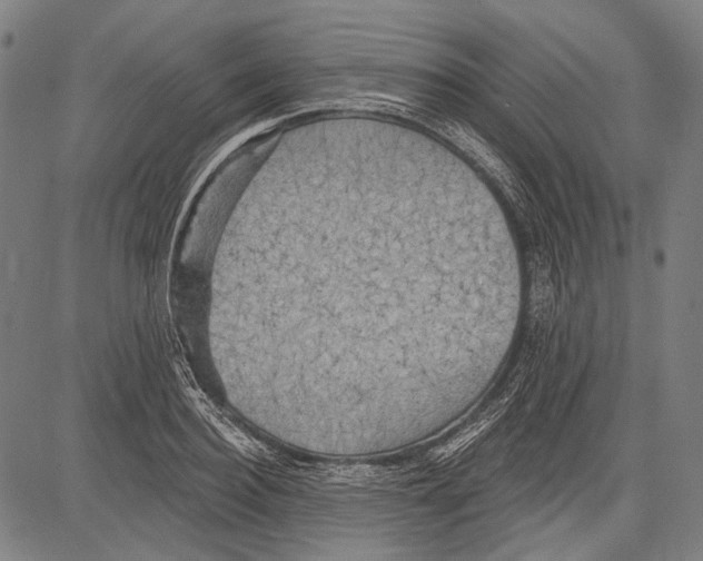 X0000081600940200702121546