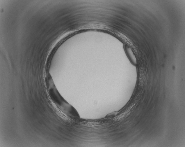 X0000081600942200702121546