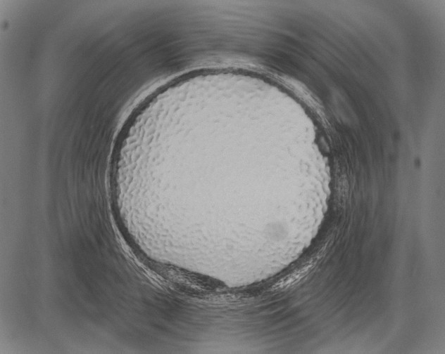 X0000081600943200702121546