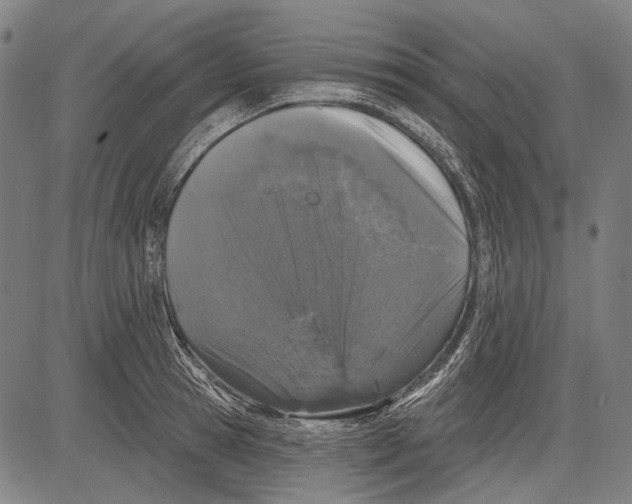 X0000081600945200702121546