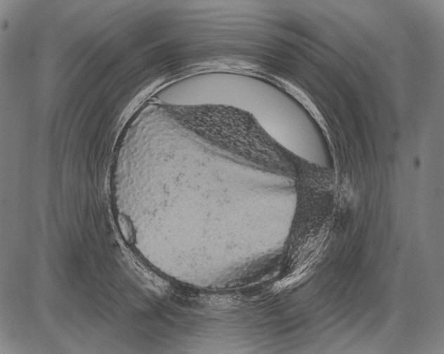 X0000081600946200702121546