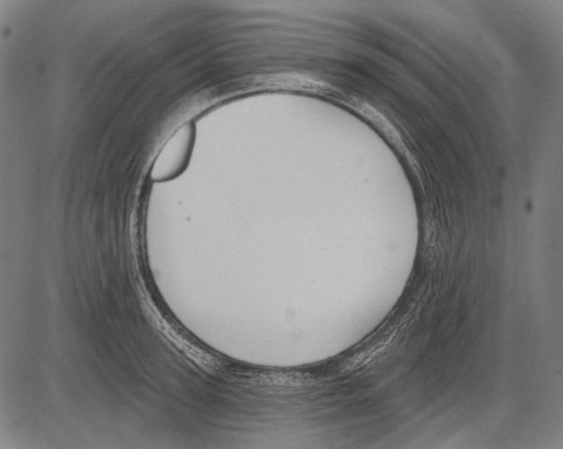 X0000081600947200702121546