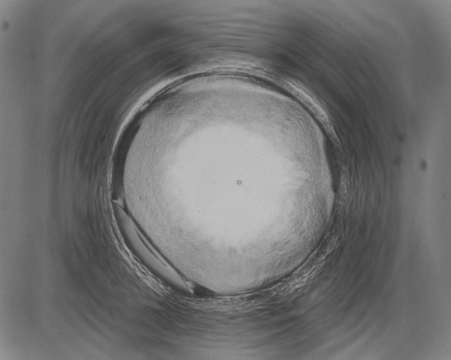 X0000081600948200702121546