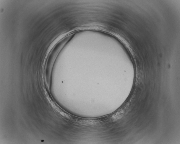 X0000081600949200702121546