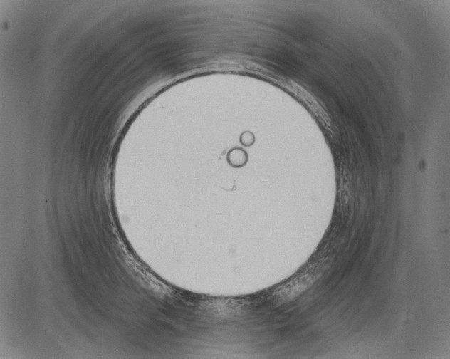 X0000081600950200702121546