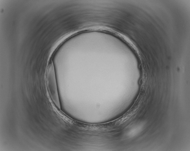 X0000081600951200702121546