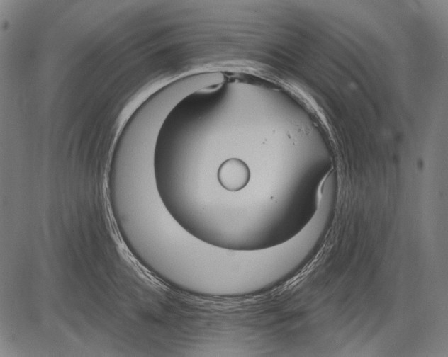 X0000081600952200702121546