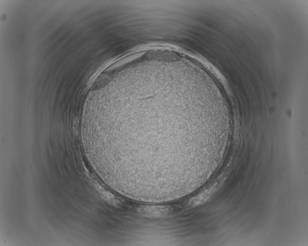 X0000081600953200702121546