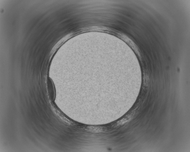 X0000081600954200702121546