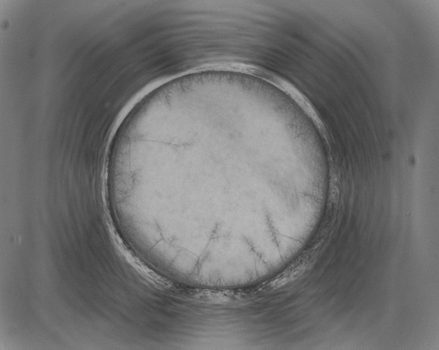 X0000081600955200702121546