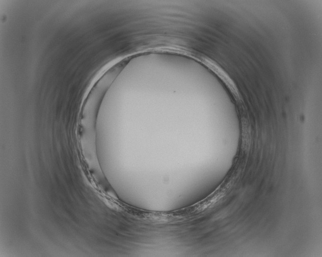 X0000081600956200702121546