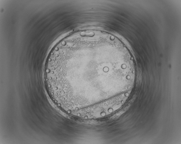 X0000081600957200702121546