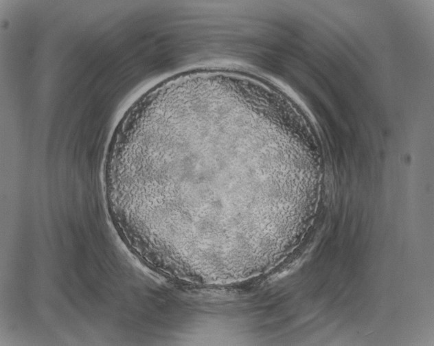 X0000081600959200702121546