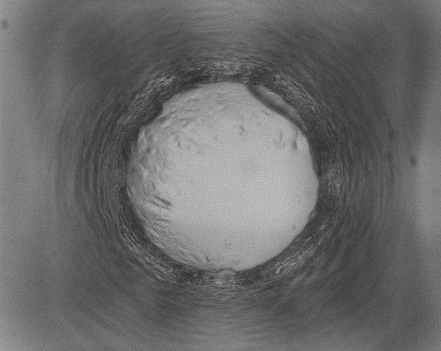 X0000081600961200702121545