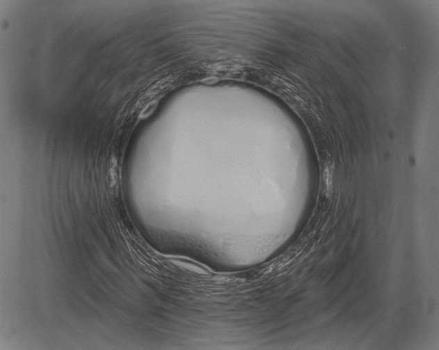 X0000081600963200702121545