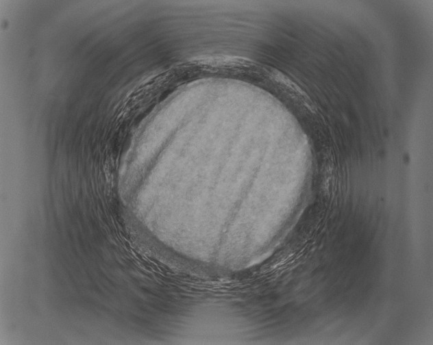 X0000081600966200702121545