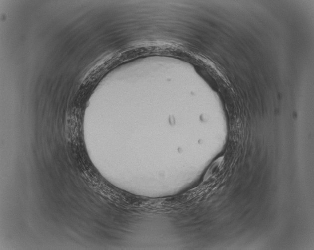 X0000081600967200702121545