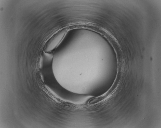 X0000081600969200702121545