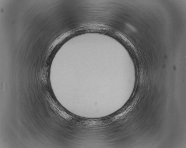 X0000081600970200702121545