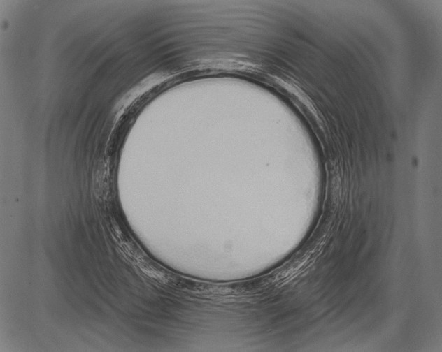 X0000081600971200702121545