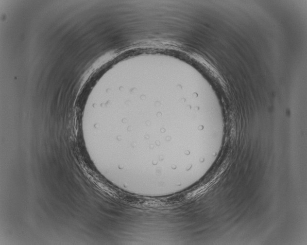 X0000081600974200702121545