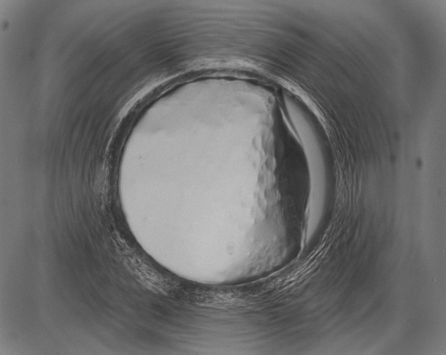 X0000081600975200702121545