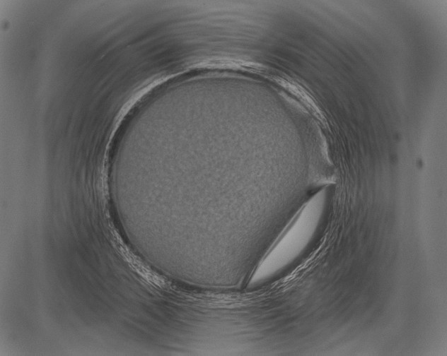 X0000081600976200702121545