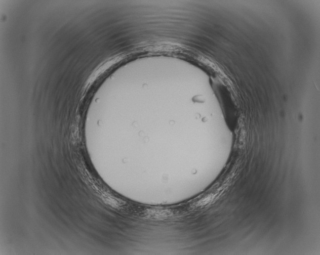 X0000081600978200702121545