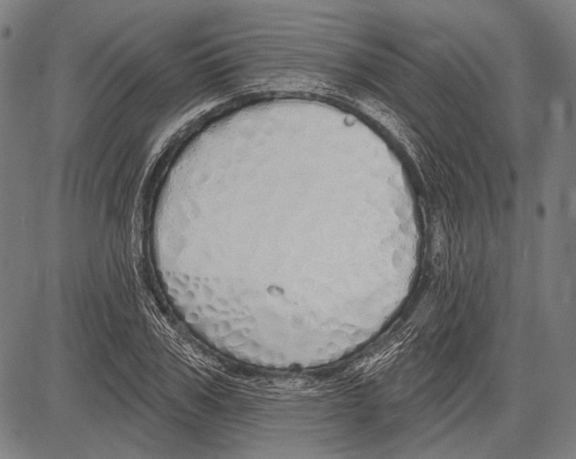 X0000081600979200702121545