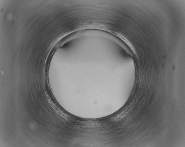 X0000081600980200702121545