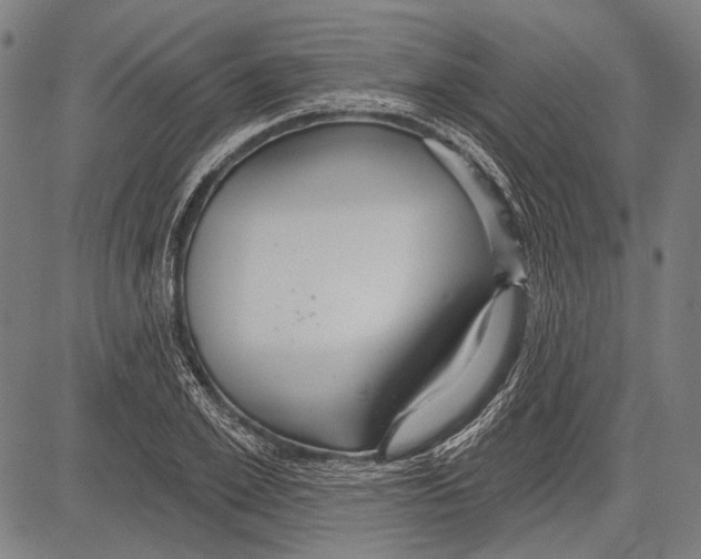 X0000081600981200702121545