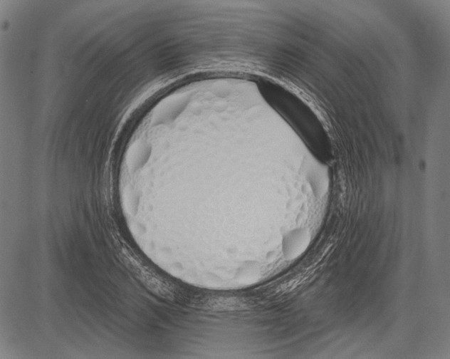 X0000081600982200702121545