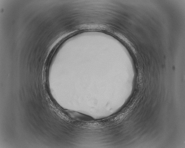 X0000081600983200702121545