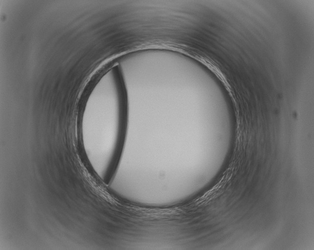 X0000081600984200702121545