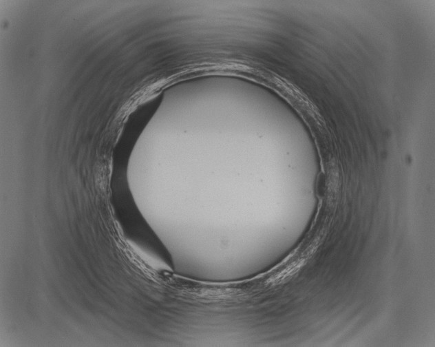 X0000081600985200702121545