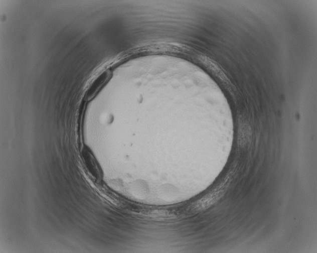 X0000081600986200702121545