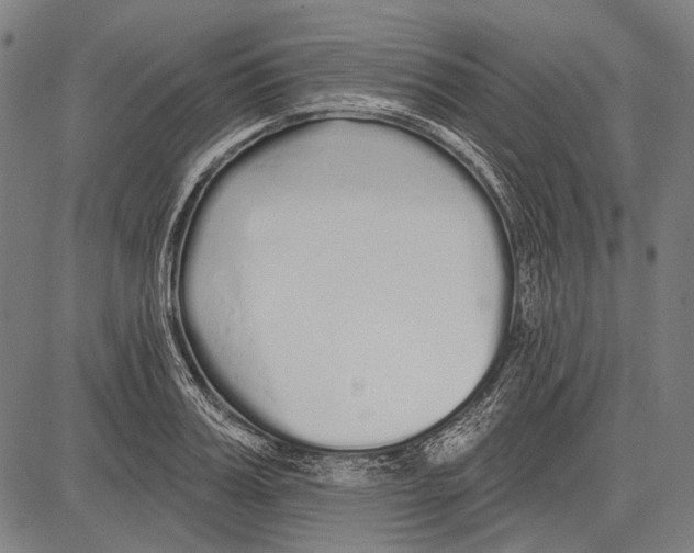 X0000081600987200702121545