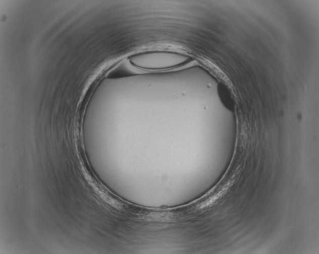 X0000081600989200702121545