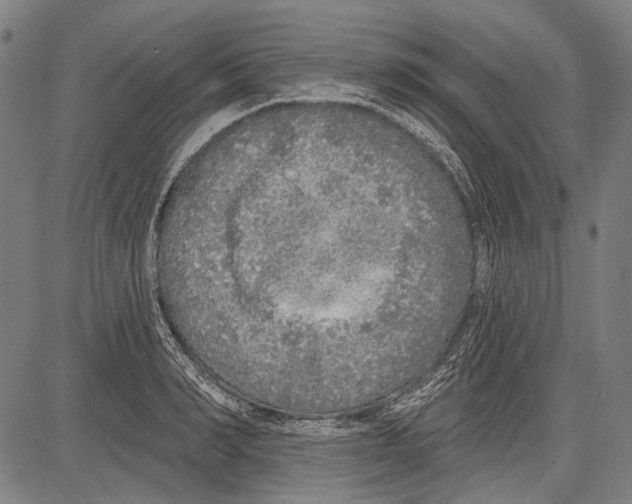 X0000081600990200702121545