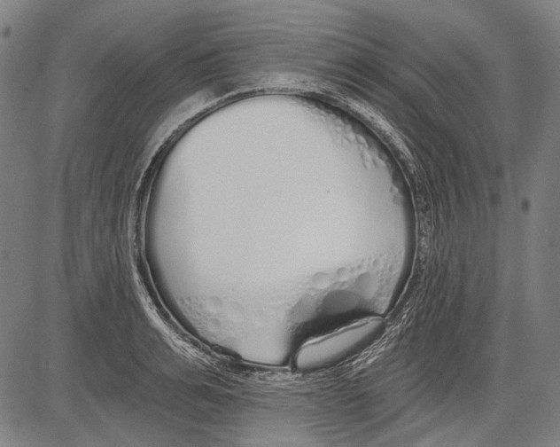 X0000081600991200702121545