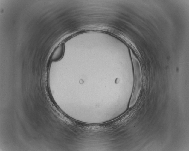 X0000081600992200702121545