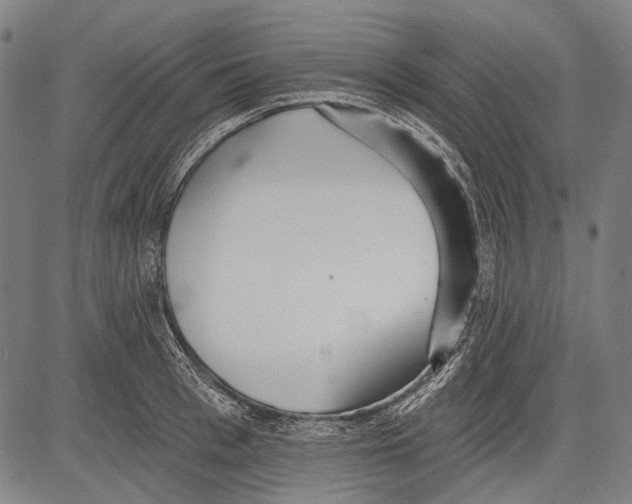 X0000081600993200702121545