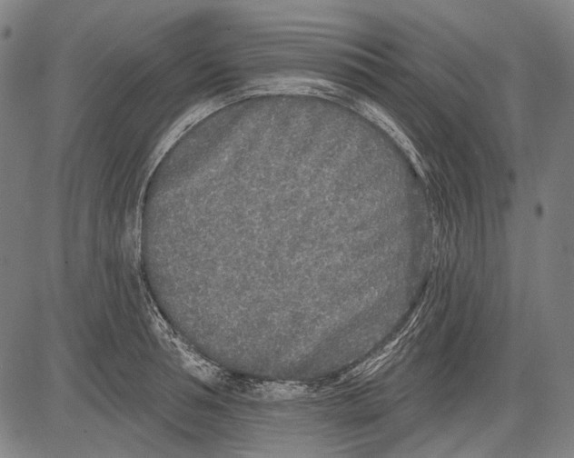 X0000081600994200702121545