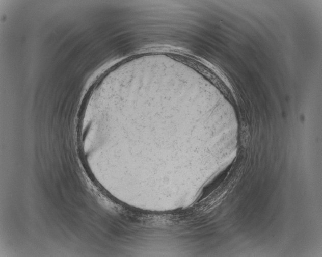 X0000081600995200702121545