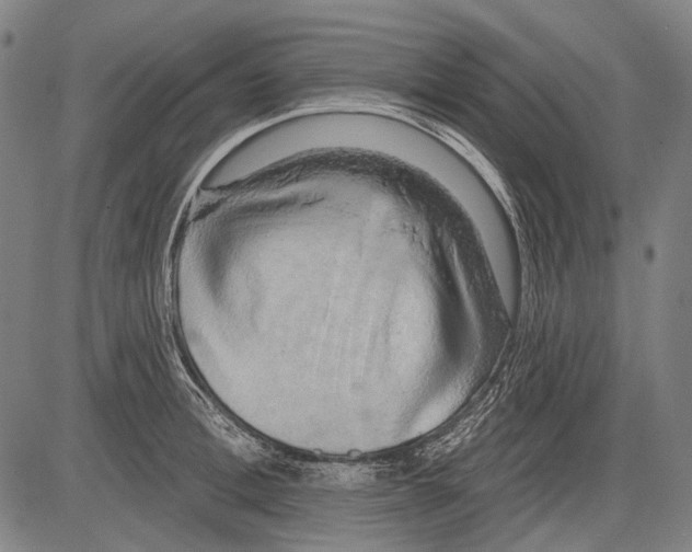 X0000081600996200702121545