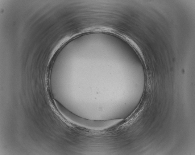 X0000081600997200702121545